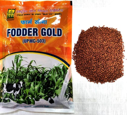 FODDER JOWAR  UPMC-503 TL 1KG POUCH