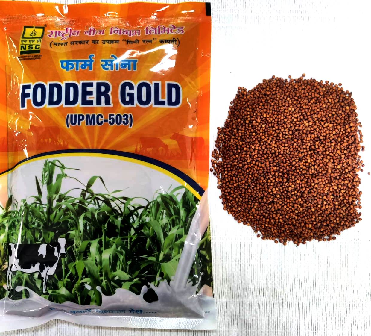 FODDER JOWAR  UPMC-503 TL 1KG POUCH