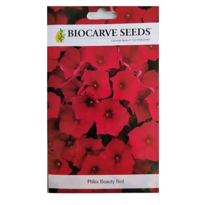 Phlox Beauty Red Flower Seeds