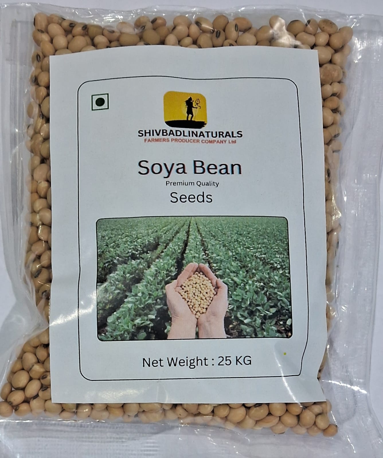 Soyabean Seed