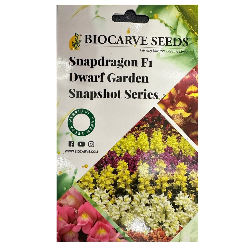 Snapdragon F1 Dwarf Garden Snapshot Series Flower Seeds