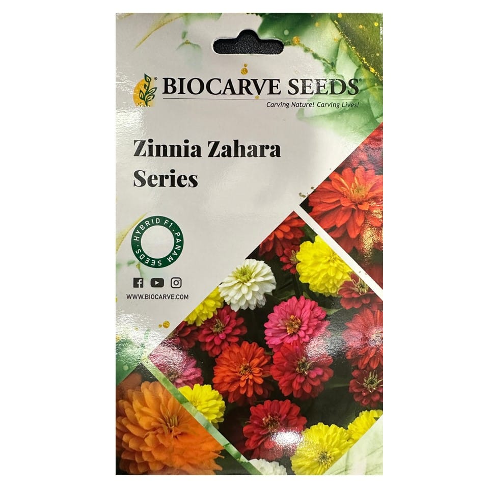 Zinnia Zahara Series Flower Seeds