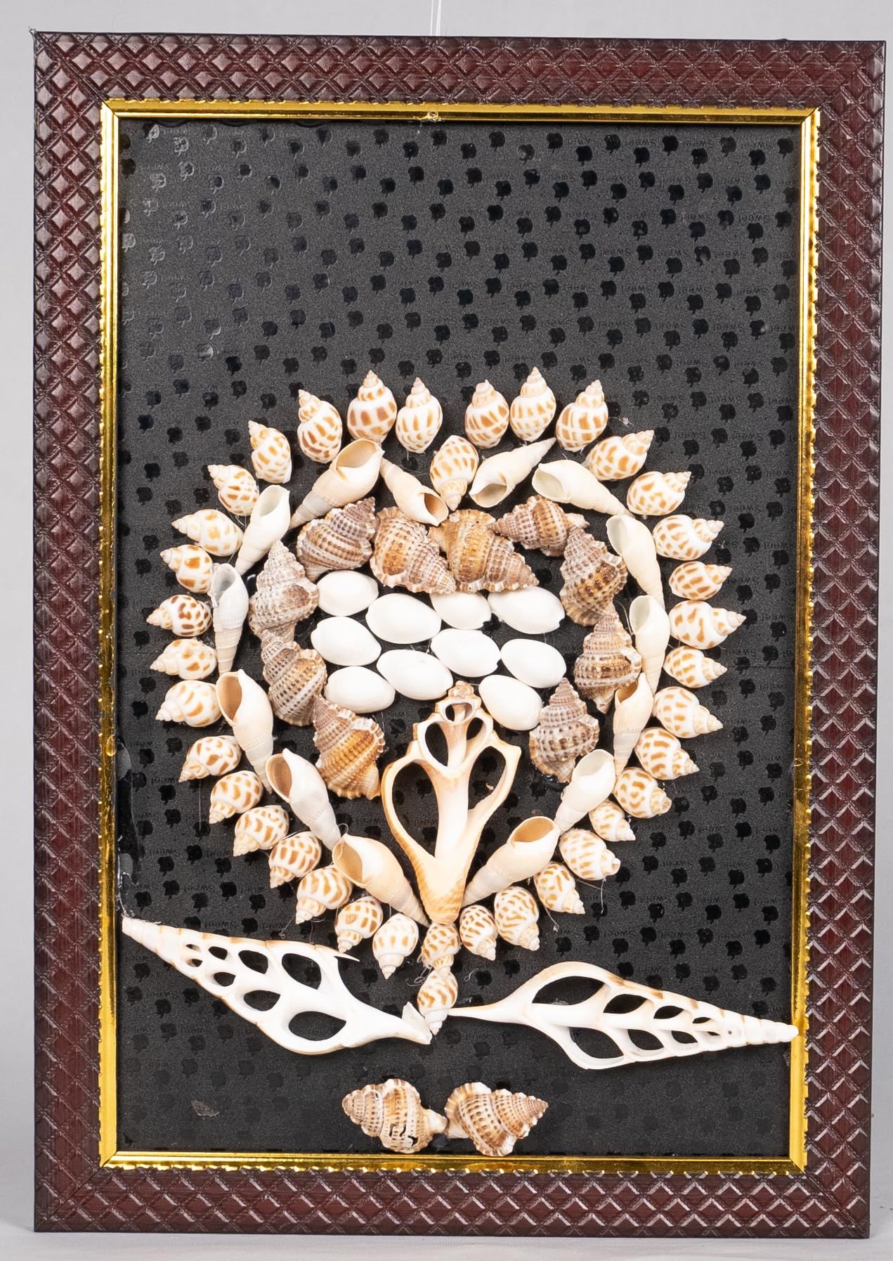 SonChiraiya seashell wood frames