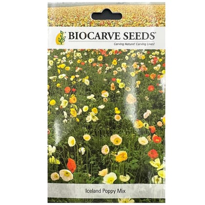 Poppy Iceland Mixed Flower Seeds