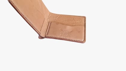 Men Brown Wallet