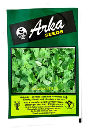 NSC-IIHR AMARANTHUS ARKA SUGUNA TL SEEDS-40 GM