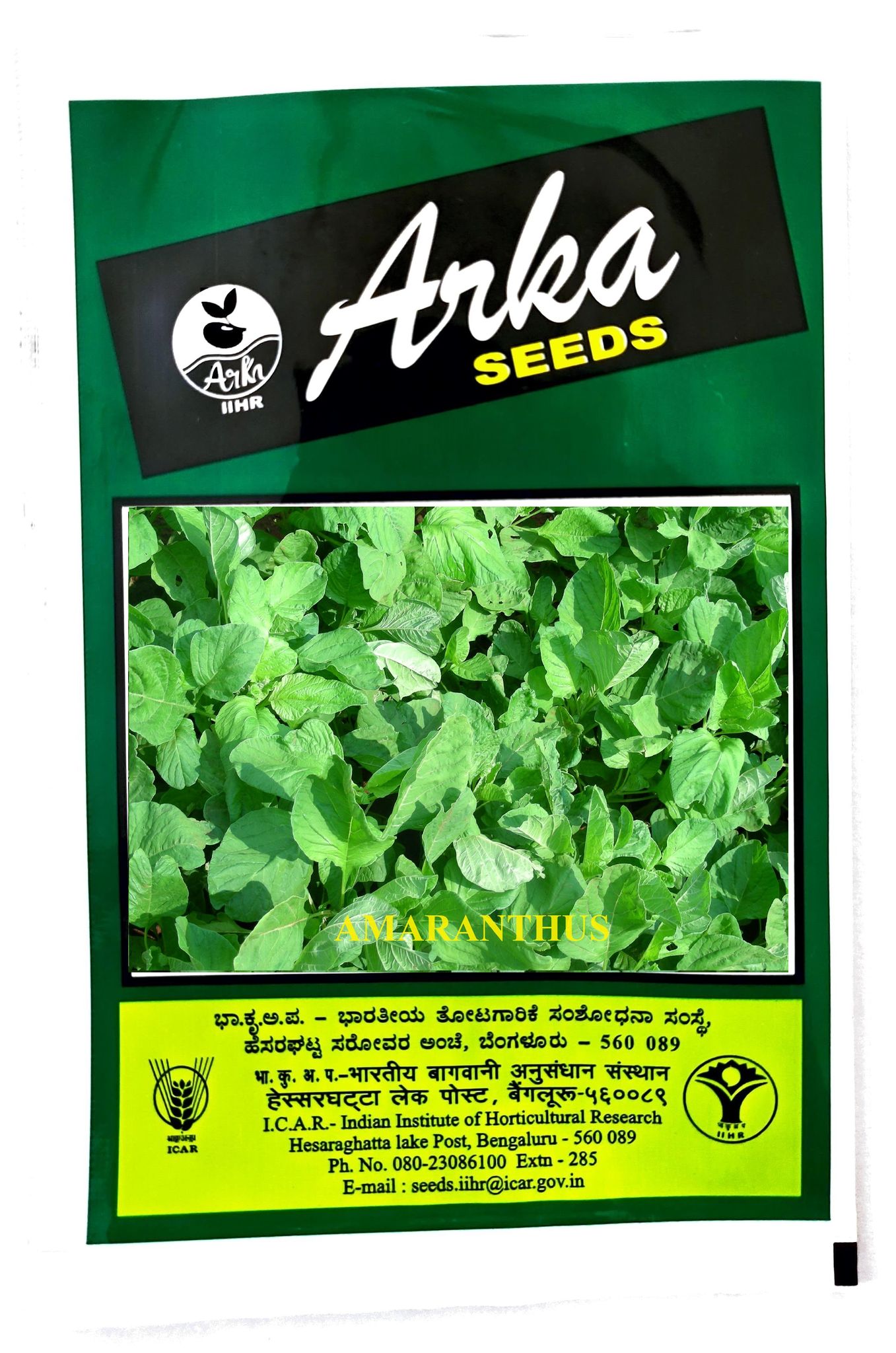 NSC-IIHR AMARANTHUS ARKA SUGUNA TL SEEDS-40 GM