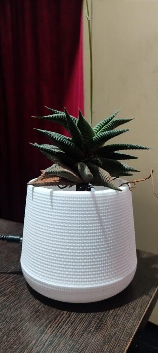 SONCHIRAIYA PLANT POT(INDOOR POTS-90) INCLUDE PLANT