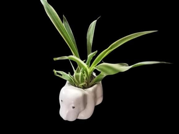 SONCHIRAIYA Plant POT07 (Ceramic Puppy Pot)