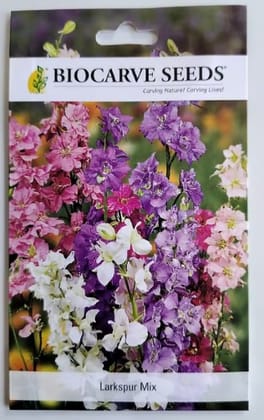 Delphinium Imperial Mixed / Larkspur Mix Flower Seeds