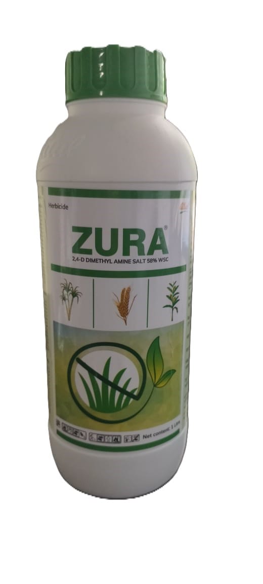 ZURA 24-D DIMETHLY AMINE SALT 58% WSC (HERBICIDE)