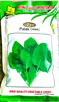 Spinach Seeds - Palak (High Quality Vegetable Seeds) - ALL GREEN (AG)