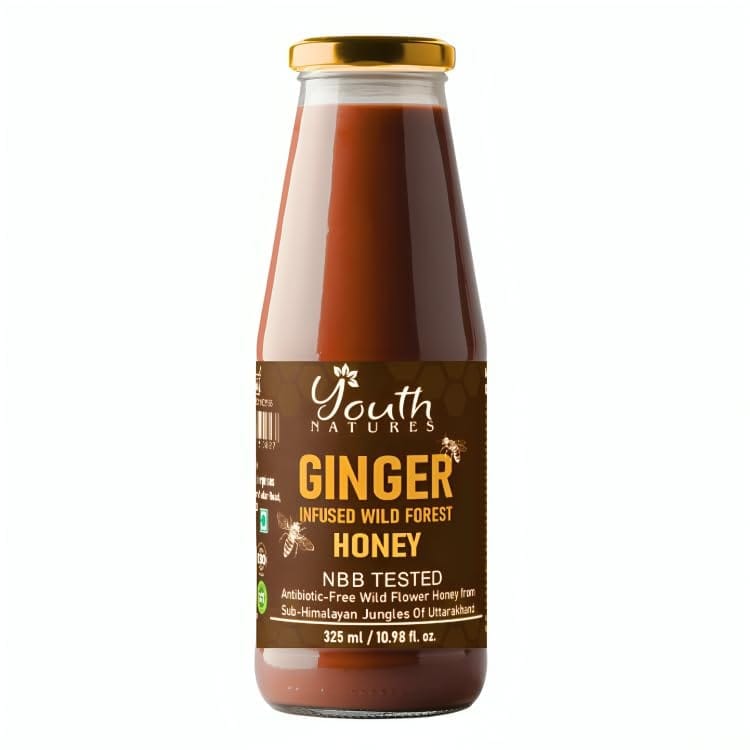 YOUTH NATURES - Raw Ginger Infused Wild Forest Honey - 325ml | NBB Tested | Antibiotic-Free | Sub-Himalayan Jungles of Uttarakhand | Glass Bottle