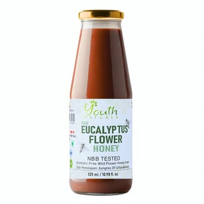 YOUTH NATURES - Raw Eucalyptus Flower Honey - 325 ml | NBB Tested | Antibiotic-Free | From Sub-Himalayan Jungles of Uttarakhand | Glass bottle