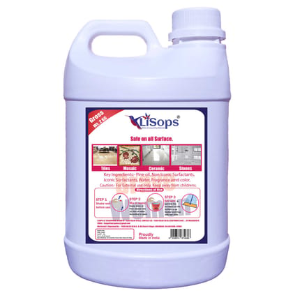 LiSops White Phenyl Concentrate For Floor and Bathroom (2 litre)