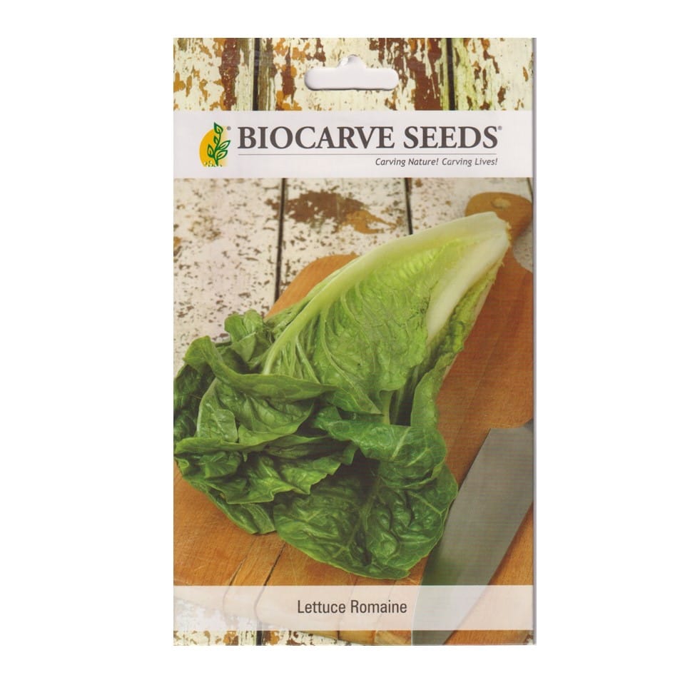 Lettuce Romaine Seeds