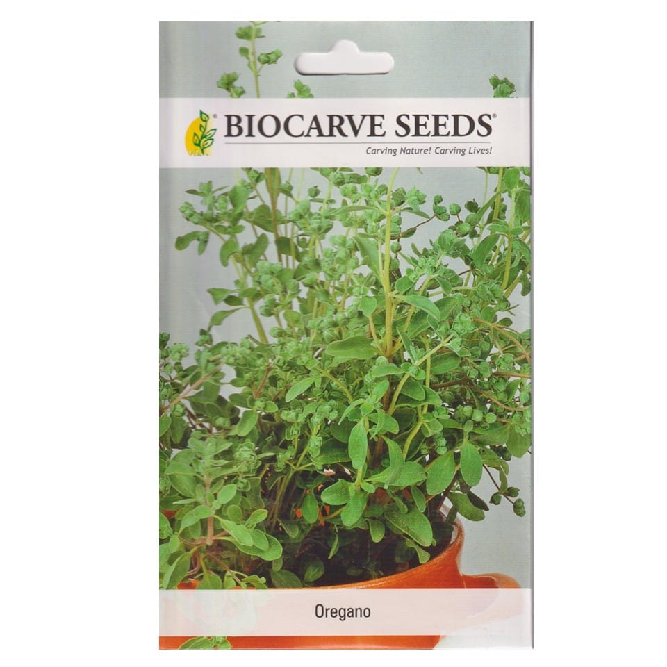 Oregano Seeds