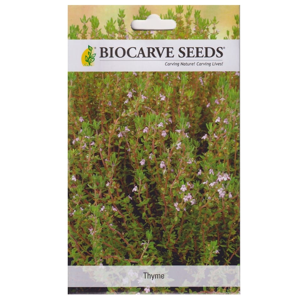 Thyme Seeds