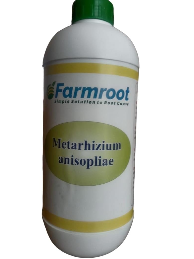 FARM METARHIZIUM  -1Ltr