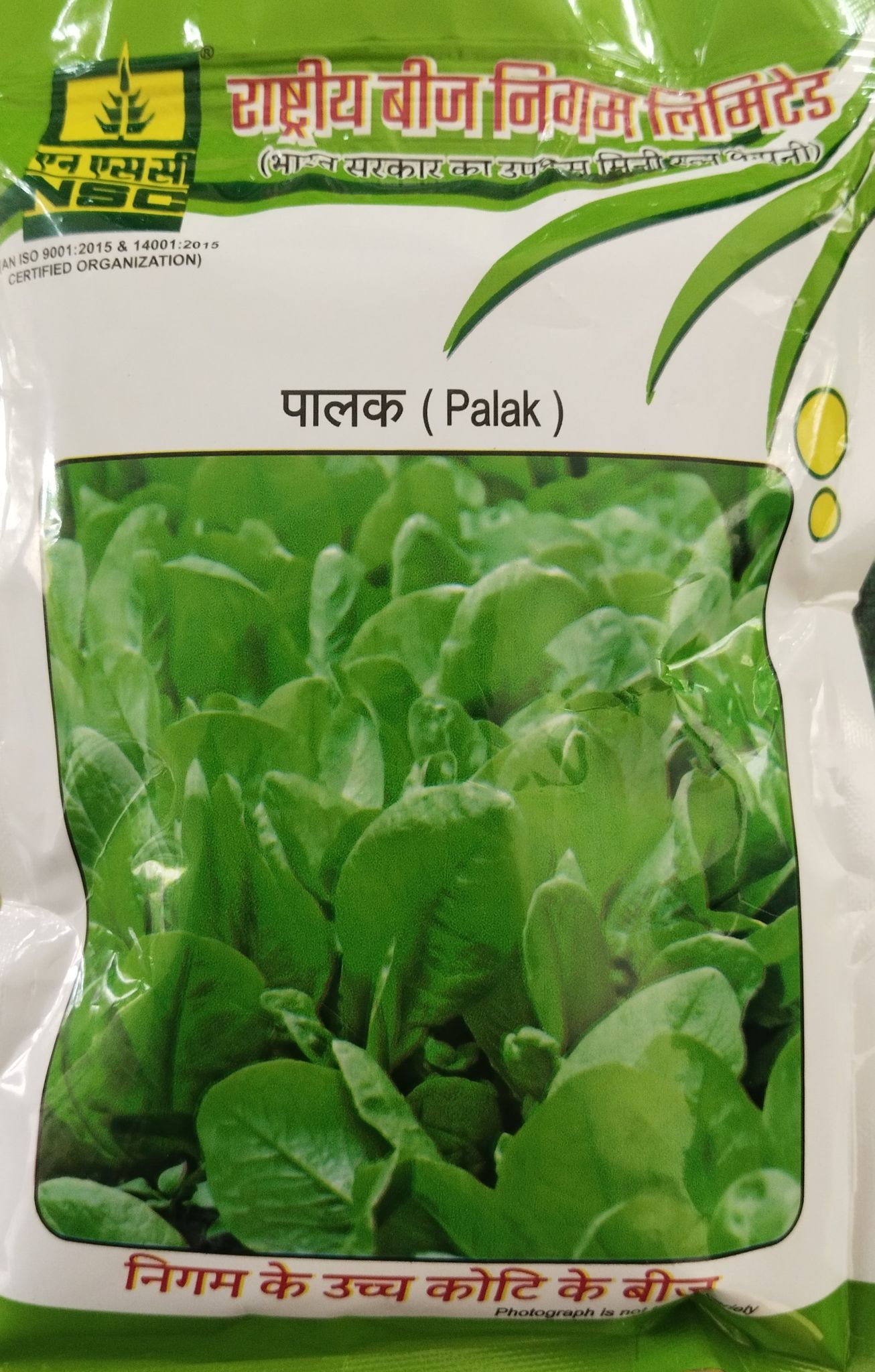 NSC Palak  All Green variety, 100 gram T/L seed