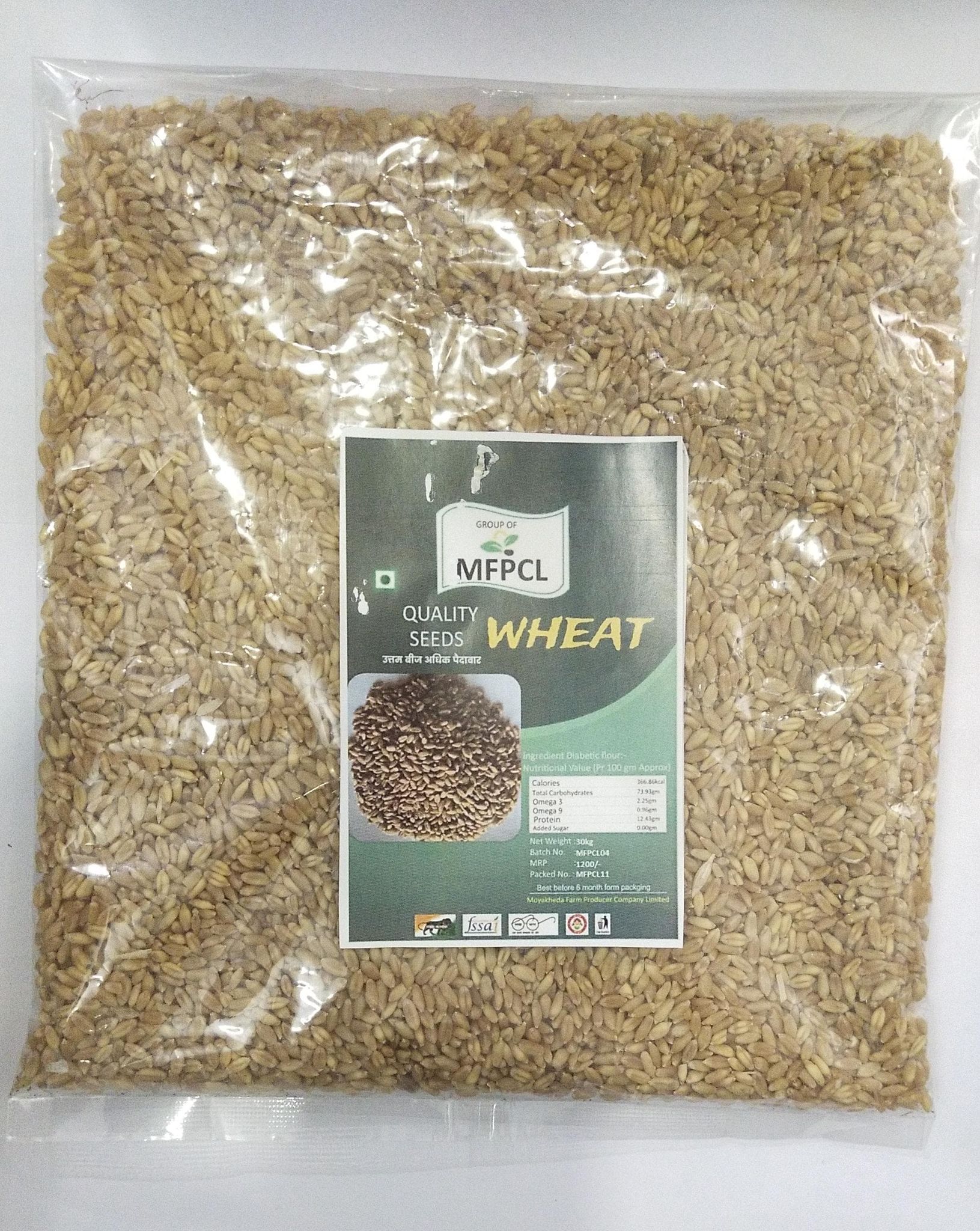 BEST QUALITY WHEAT SEED