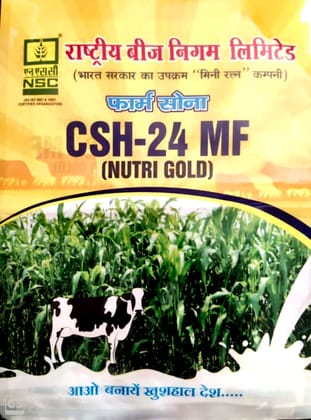 NSC FODDER SORGHUM HYBRID MULTICUT CSH-24 MF TL SEEDS- 2KG