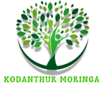 Kodanthur Moringa Farmer Producer Company Limited