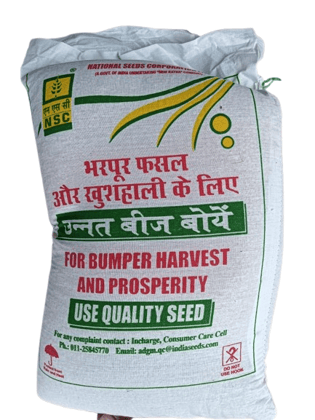 NSC-HY FODDER JOWAR (CSH-24 MF)