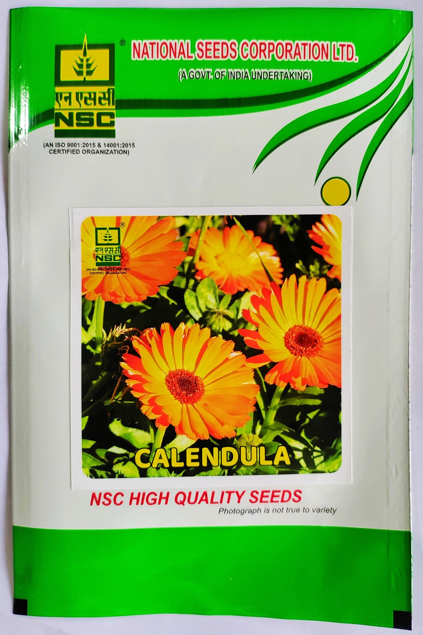 NSC Calendula Seeds - High Quality Flower Seeds