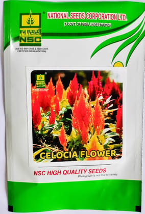 NSC Celosia Flower Seeds - Celosia Cristata