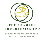 THE ADAMPUR PROGRESSIVE FPO COOPERATIVE MULTIPURPOSE SOCIETY LIMITED 