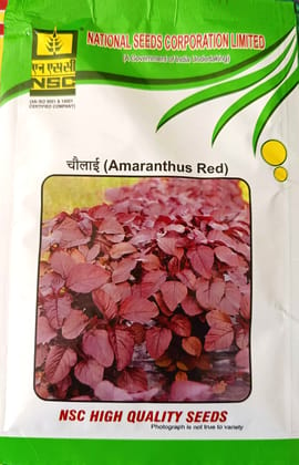 NSC Amaranthus (Chaulai saag)  Arun Red variety, 25 gram T/L seed