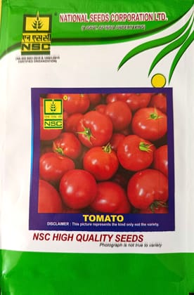 NSC Tomato Arka Samrat variety hybrid F1, 5 gram T/L seed