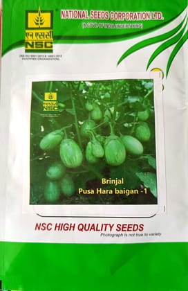 NSC Brinjal Pusa Hara Baigan-1 variety, 10 gram T/L seed