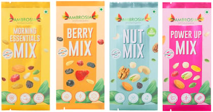 Ambrosia Trail Mix Mini Packs 40g -Sampler Pack | Pack of 4 | each item 40g