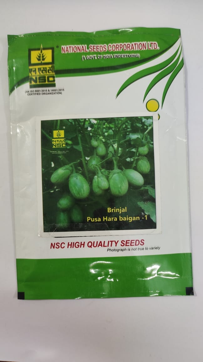 NSC BRINJAL PUSA HARA BAIGAN-1 (Pack of 25 Grams)