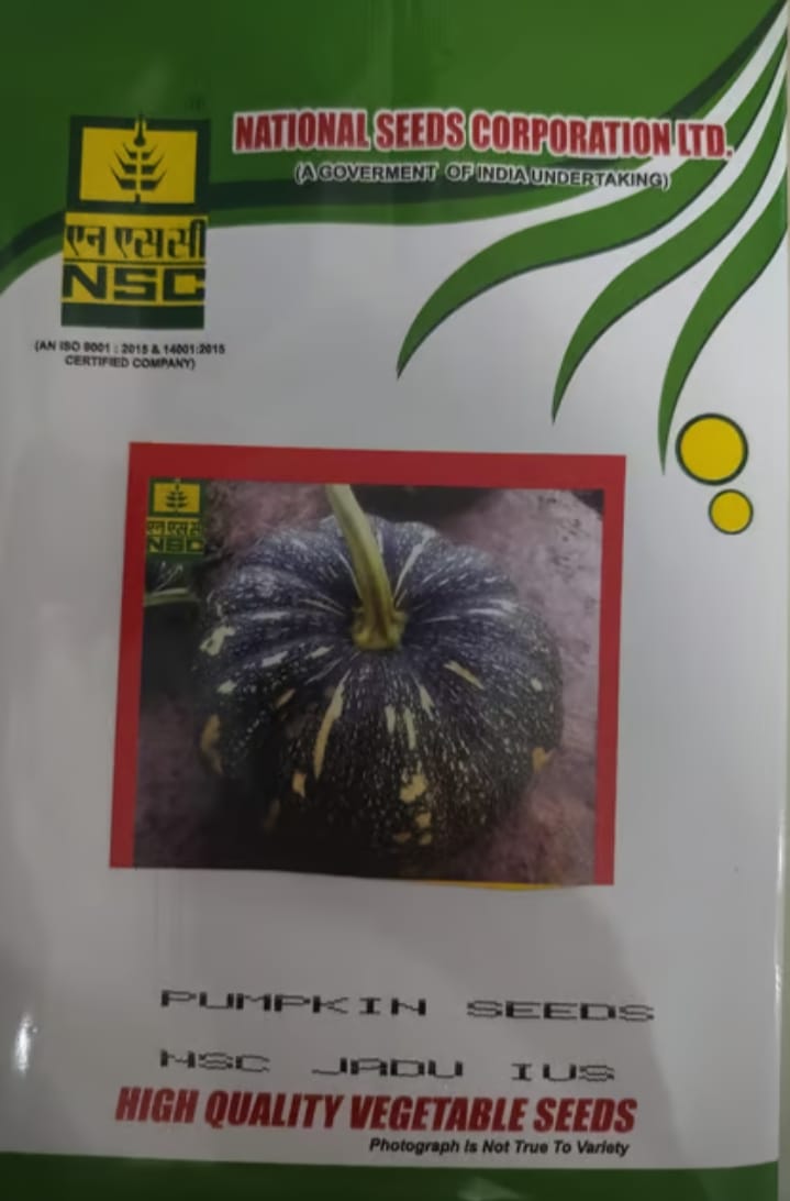 NSC Hyb. Pumpkin/ NSC JADU IUS, 50gm