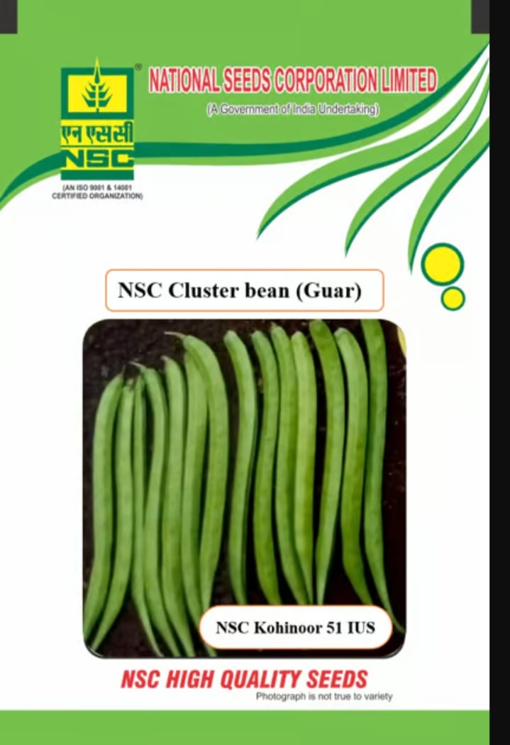  "NSC Cluster Bean (Guar) Kohinoor 51 IUS - High Quality Seeds"