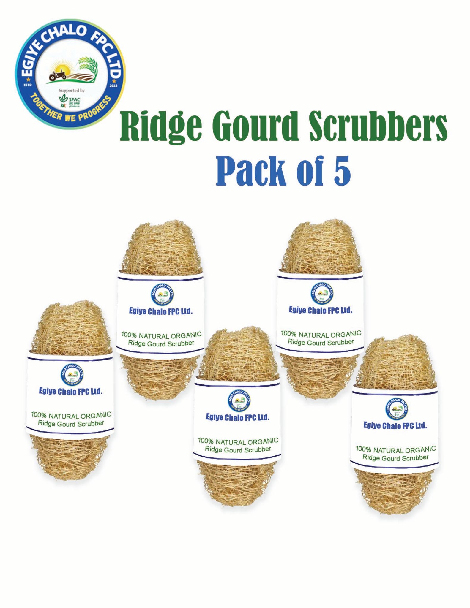 Natural Ridge Gourd Scrubber