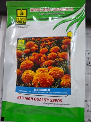 NSC Orange Marigold Seed, Variety: Pusa Narangi , 10 gm