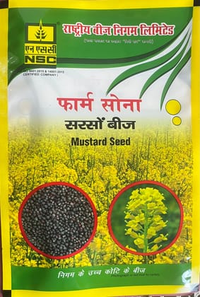 MUSTARD -RH-761 T/L SEED 1 kg Pouch