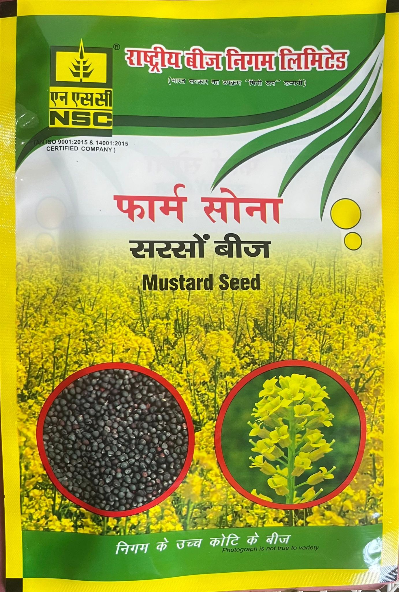 MUSTARD -RH-761 T/L SEED 1 kg Pouch