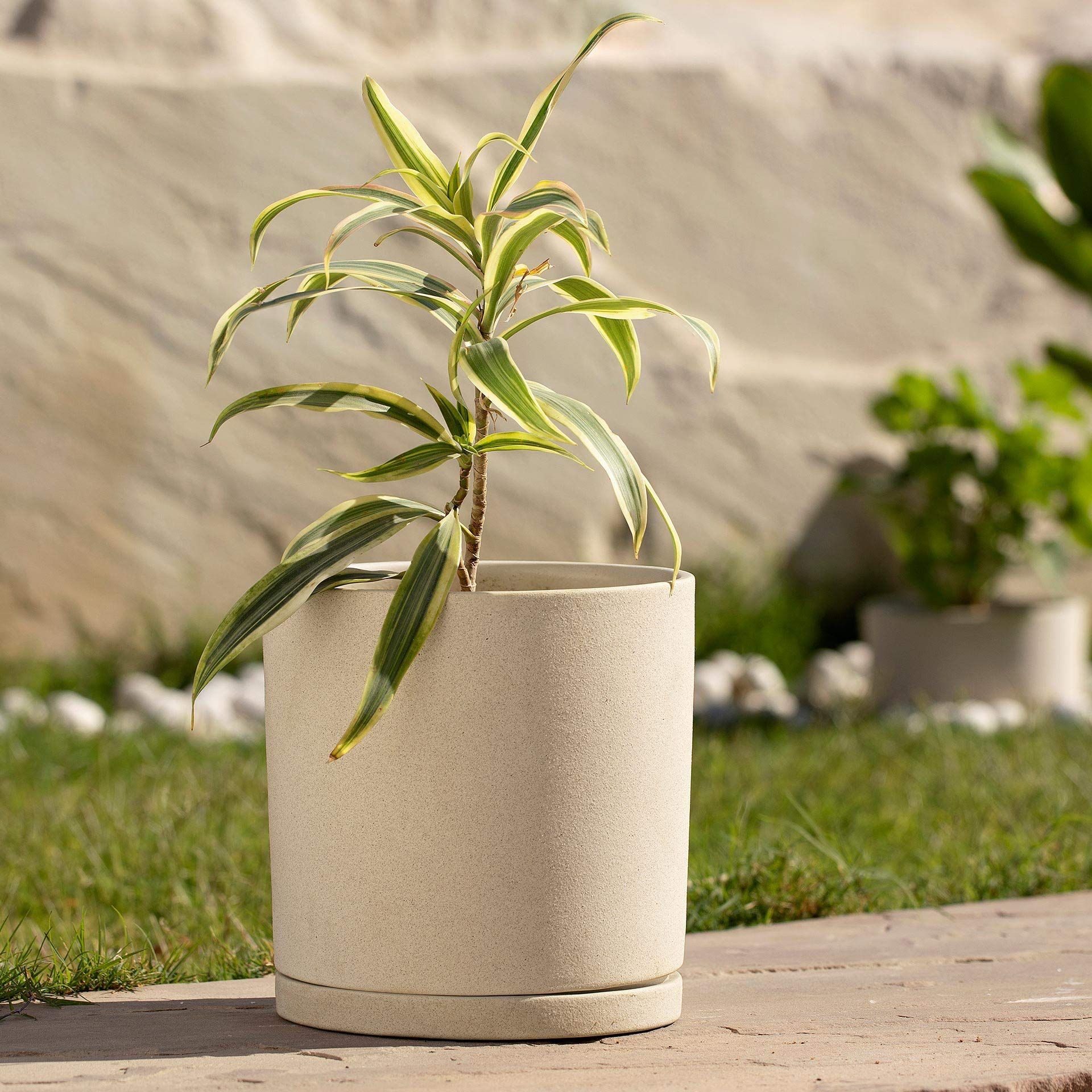 Ellementry Ort Ceramic Planter (Tall)