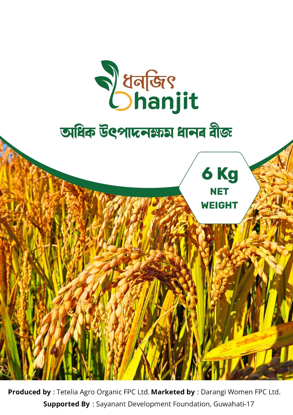 BINA DHAN 11 Paddy Seeds - 6 Kg