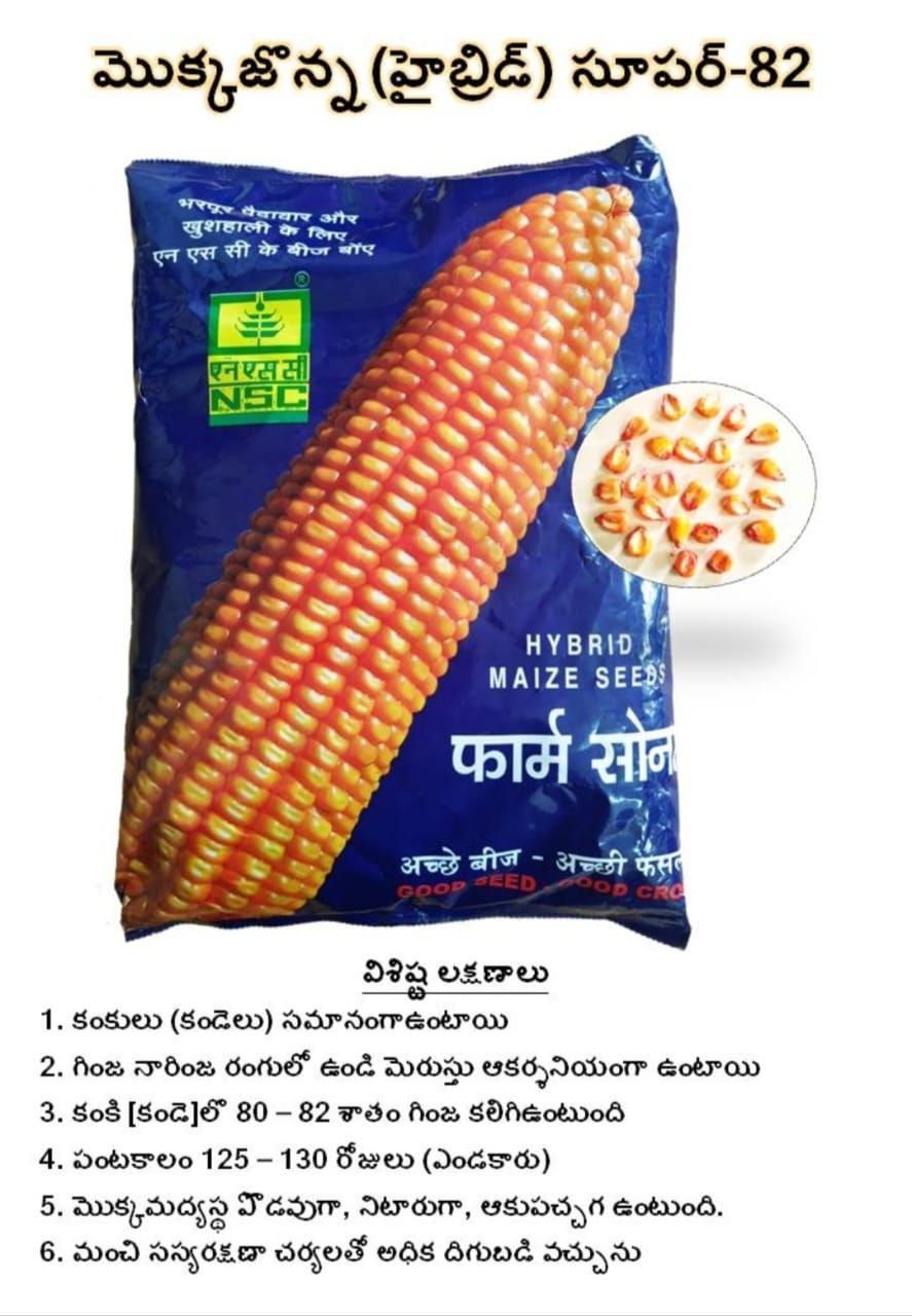 NSC Hybrid Maize Super-82, 4 KG Truthful Labelled Seed