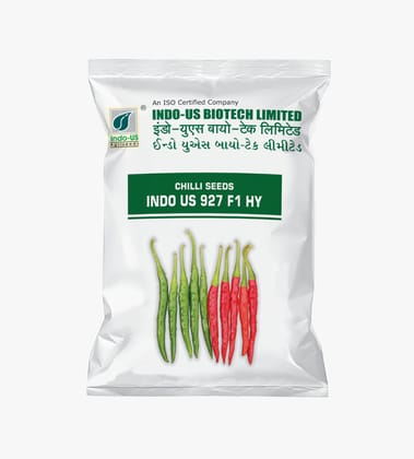 CHILLI SEEDS INDO US 927 F1 HY (10 GM)