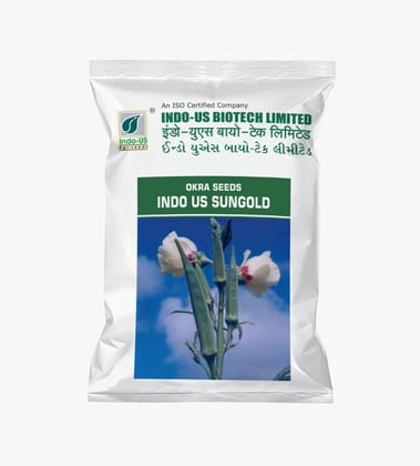 OKRA SEEDS INDO US SUNGOLD OP (500 GM)