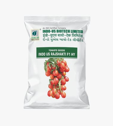 TOMATO SEEDS INDO US RAJSHAKTI F1 HY (10 GM)