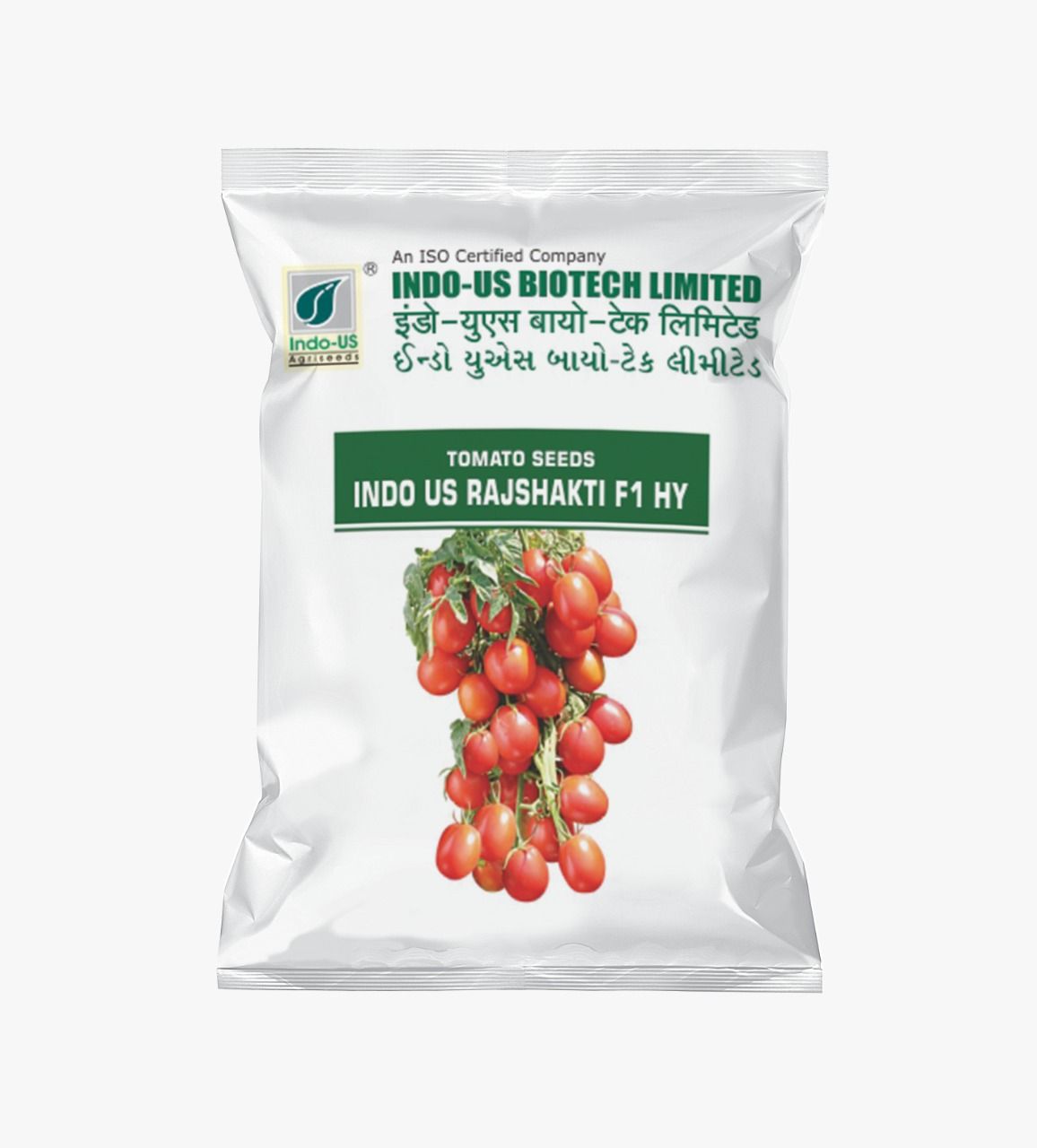 TOMATO SEEDS INDO US RAJSHAKTI F1 HY (10 GM)