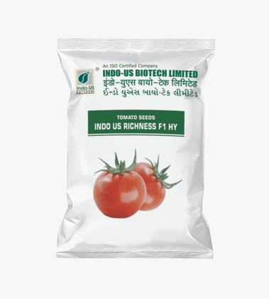 TOMATO SEEDS INDO US RICHNESS F1 HY (10 GM)